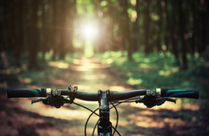 Bike in Sun